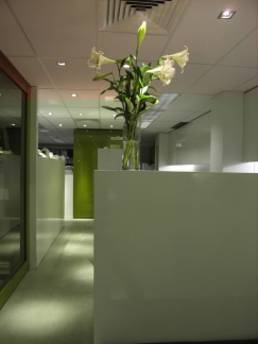 goffice_sh-17 - Geoform Architects