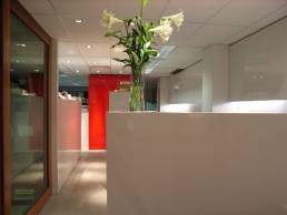 goffice_sh-18 - Geoform Architects